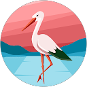 Haley U profile picture